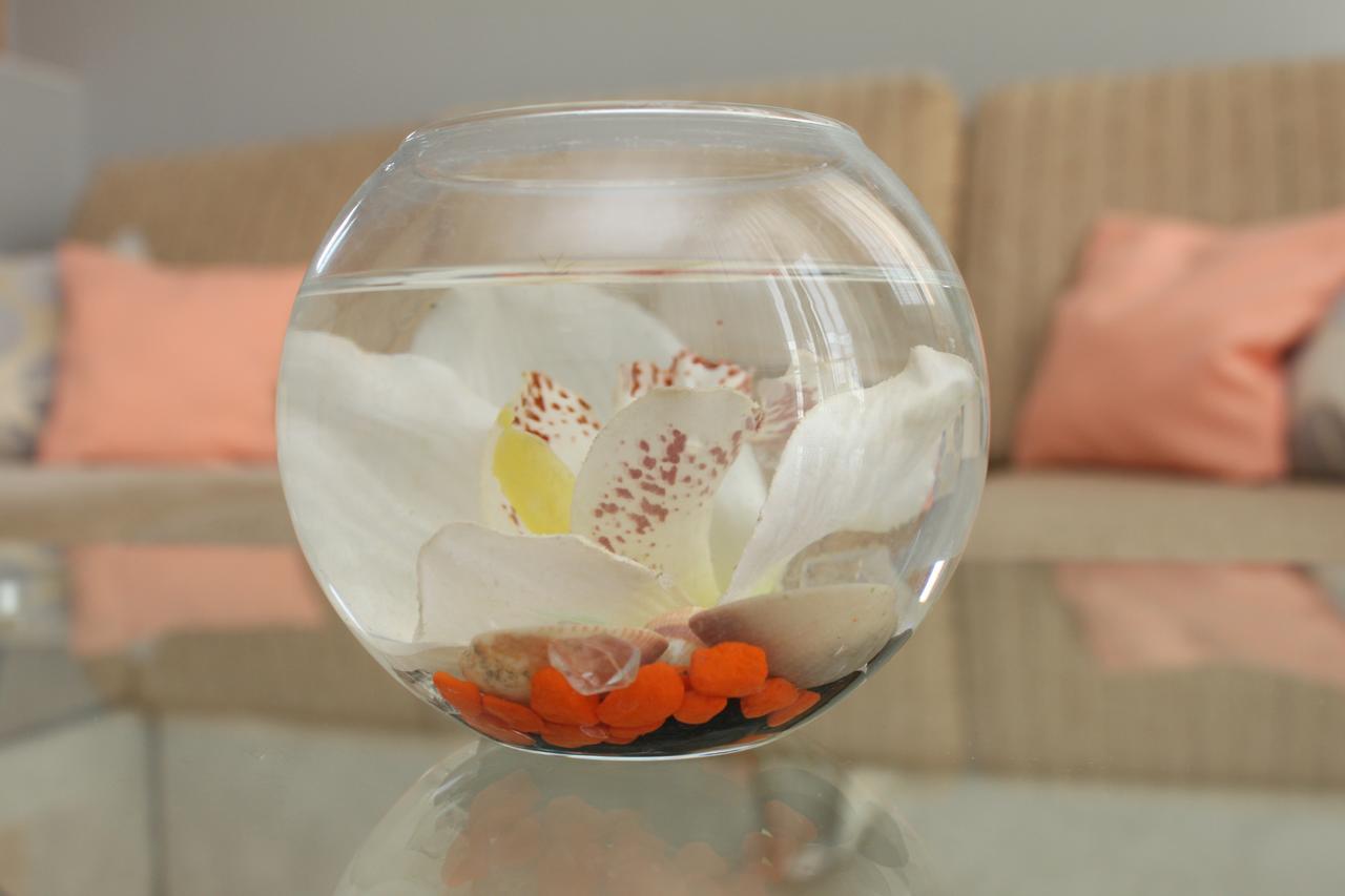 Sun Apartments ซูโบติกา ภายนอก รูปภาพ